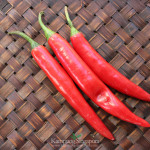 Red chillies