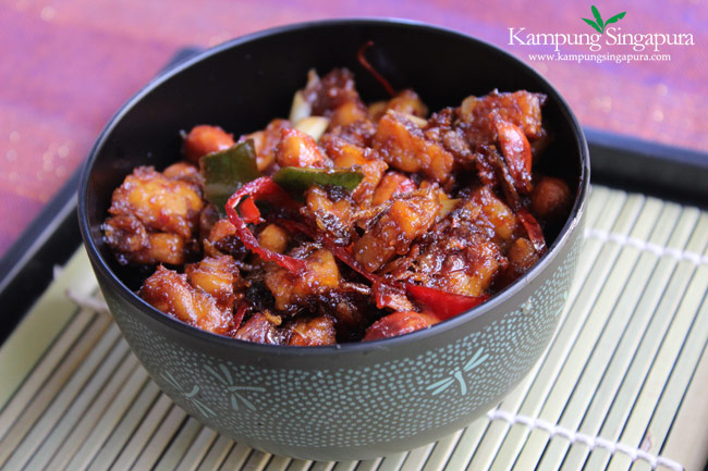 Kering_Tempeh_Recipe